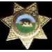 SECURITY SERVICES STAR BADGE PIN